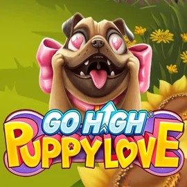 Go High Puppy Love slot logo by RubyPlay at Hollywin Casino