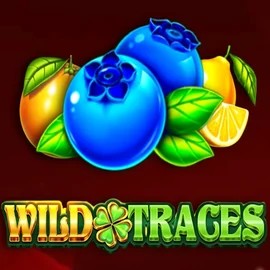 Wild Traces slot logo by Amusnet Interactive at Hollywin Casino